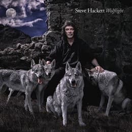 Cover von Wolflight