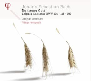 Cover von Du treuer Gott - Leipzig Cantatas BWV 101 & 115 & 103