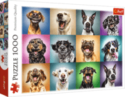 Cover von Lustige Hunde Porträts