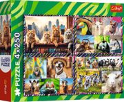 Cover von Lustige Tiere
