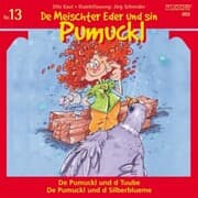 Cover von De Meischter Eder und sin Pumuckl, Nr. 13