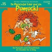 Cover von De Meischter Eder und sin Pumuckl, Nr. 15