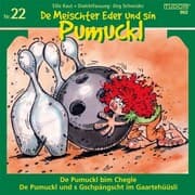 Cover von De Meischter Eder und sin Pumuckl, Nr. 22