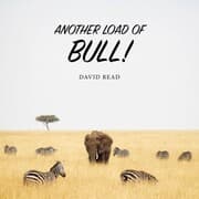 Cover von Another Load of Bull