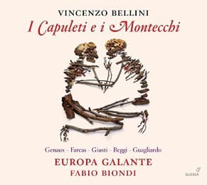 Cover von I Capuleti e i Montecchi