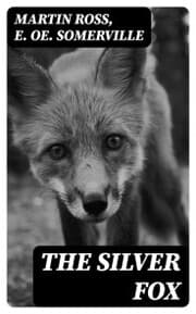 Cover von The Silver Fox