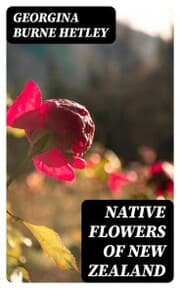 Cover von Native Flowers of New Zealand