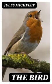 Cover von The Bird