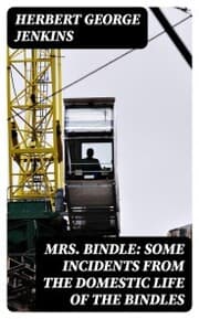 Cover von Mrs. Bindle: Some Incidents from the Domestic Life of the Bindles