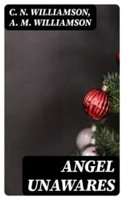 Cover von Angel Unawares