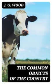 Cover von The Common Objects of the Country