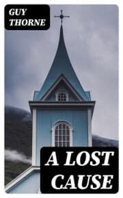 Cover von A Lost Cause