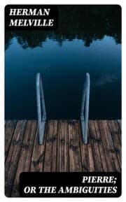 Cover von Pierre; or The Ambiguities