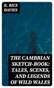 Cover von The Cambrian Sketch-Book: Tales, Scenes, and Legends of Wild Wales