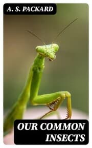 Cover von Our Common Insects