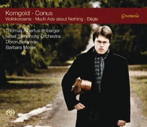 Cover von Violinkonzert e-moll