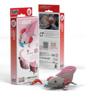 Cover von EUGY 3D-Bastelset Axolotl