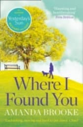 Cover von Where I Found You