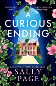 Cover von A Curious Ending