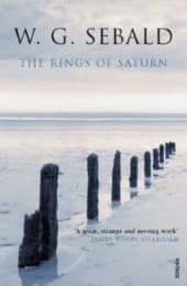 Cover von The Rings of Saturn