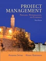 Cover von Project Management: Processes, Methodologies, and Economics
