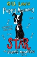 Cover von Puppy Academy: Star on Stormy Mountain