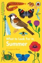 Cover von What to Look For in Summer
