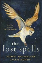 Cover von The Lost Spells