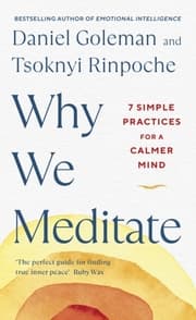 Cover von Why We Meditate