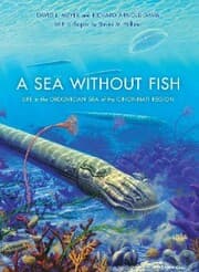 Cover von A Sea without Fish