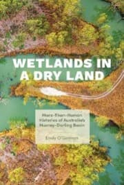 Cover von Wetlands in a Dry Land