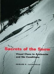 Cover von Secrets of the Snow