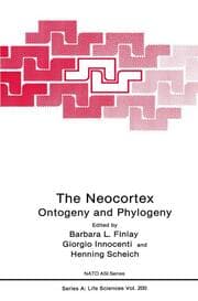 Cover von The Neocortex