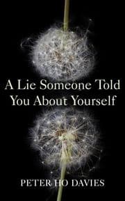 Cover von A Lie Someone Told You About Yourself