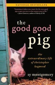 Cover von The Good Good Pig