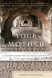 Cover von Lose Your Mother