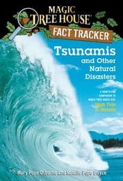Cover von Tsunamis and Other Natural Disasters