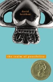 Cover von The Realm of Possibility