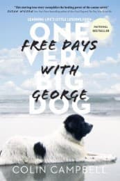 Cover von Free Days With George