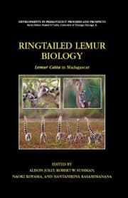 Cover von Ringtailed Lemur Biology
