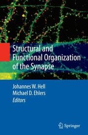 Cover von Structural and Functional Organization of the Synapse