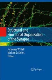Cover von Structural and Functional Organization of the Synapse