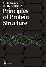 Cover von Principles of Protein Structure