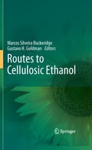 Cover von Routes to Cellulosic Ethanol