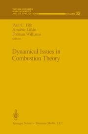 Cover von Dynamical Issues in Combustion Theory