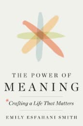 Cover von The Power of Meaning