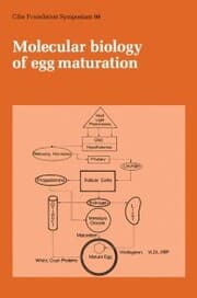 Cover von Molecular Biology of Egg Maturation