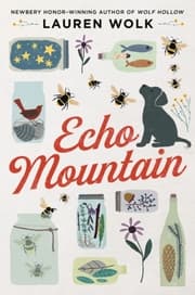 Cover von Echo Mountain