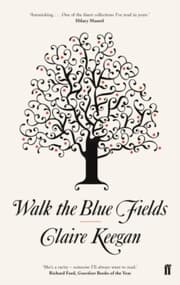Cover von Walk the Blue Fields