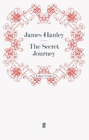 Cover von The Secret Journey